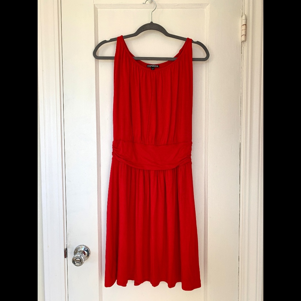 Express Red Stretch Cotton Dress